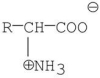 <strong>Which of the following is a zwitterion?</strong> A) B) C) D) E)