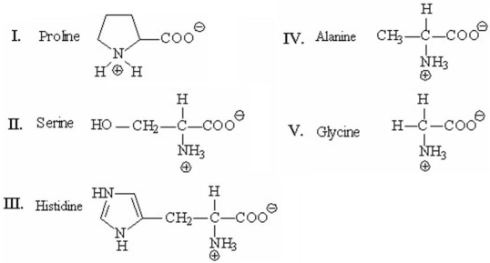 <strong>Which of the following amino acids has a side chain with an ionizable proton and can exist in four different forms,depending on the pH of the solution? </strong> A)I B)II C)III D)IV E)V