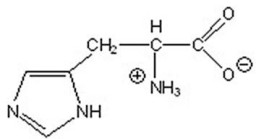 <strong>Give the pH at which histidine exists in the following form. </strong> A)0 B)4 C)8 D)12 E)14