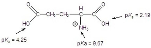 Calculate the isoelectric point for the following compound.