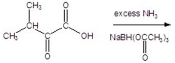 <strong>Give the product for the following reaction. </strong> A)alanine B)leucine C)valine D)isoleucine E)glycine