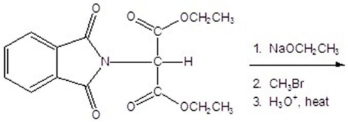 <strong>Give the product for the following reaction. </strong> A)alanine B)leucine C)valine D)isoleucine E)glycine