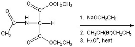 <strong>Give the product for the following reaction. </strong> A)alanine B)leucine C)valine D)isoleucine E)glycine