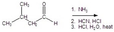 <strong>Give the product for the following reaction. </strong> A)alanine B)leucine C)valine D)isoleucine E)glycine