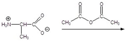 <strong>Give the product for the following reaction. </strong> A) B) C) D) E)