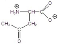 <strong>Give the product for the following reaction. </strong> A) B) C) D) E)