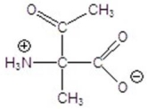 <strong>Give the product for the following reaction. </strong> A) B) C) D) E)