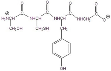 Name the peptide.  
