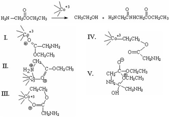 Which of the following is an intermediate in the metal-ion catalyzed reaction shown below?