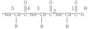 Which of the labeled bonds in the following peptide chain will break when carboxypeptidase A is used to hydrolyze the chain?