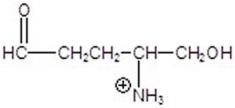 <strong>Give the product for the following reaction. </strong> A) B) C) D) E)