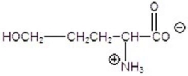 <strong>Give the product for the following reaction. </strong> A) B) C) D) E)