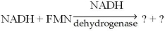 What are the products obtained from the reaction of NADH with FMN catalyzed by NADH dehydrogenase as shown below?