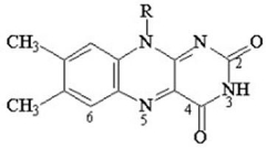 <strong>At what position on the following coenzyme (FAD/FMN)will oxidation-reduction reactions take place? </strong> A)6 B)2 C)3 D)4 E)5
