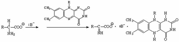 Propose a mechanism for the following reaction.
