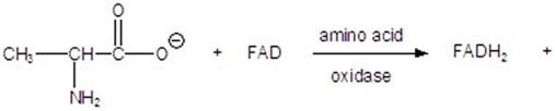 Give the product for the following reaction.  