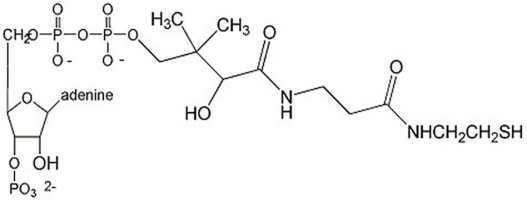 <strong>Identify the compound below. </strong> A)coenzyme A B)thiamine pyrophosphate C)pyruvate D)NADPH E)tetrahydrofolate