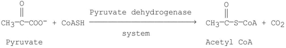 In addition to TPP,which of the following coenzymes is/are required to facilitate the following reaction?