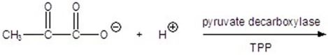 <strong>Give the product for the following reaction. </strong> A) B) C) D) E)