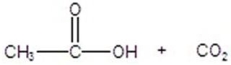 <strong>Give the product for the following reaction. </strong> A) B) C) D) E)