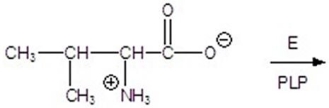 <strong>Give the product for the following reaction. </strong> A) B) C) D) E)
