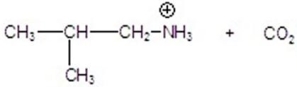 <strong>Give the product for the following reaction. </strong> A) B) C) D) E)