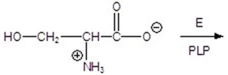 Give the products for the following reaction.