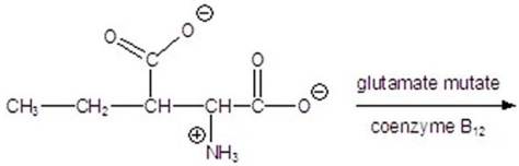 Give the product for the following reaction.  