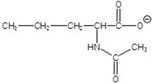 <strong>Give the product for the following reaction. </strong> A) B) C) D) E)