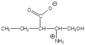 <strong>Give the product for the following reaction. </strong> A) B) C) D) E)