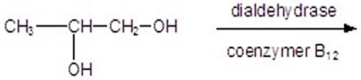 <strong>Give the product for the following reaction. </strong> A) B) C) D) E)