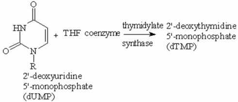 <strong>The thymine molecule used for the biosynthesis of DNA is synthesized from uracil as shown below. The structure of dTMP is a methylated dUMP.What is the structure of dTMP? </strong> A)I B)II C)III D)IV E)V