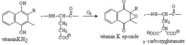 Propose a mechanism for the vitamin KH<sub>2</sub>-catalyzed carboxylation of glutamate shown below.