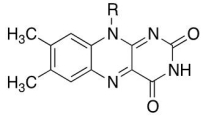 Which molecule does the following general structure represent?