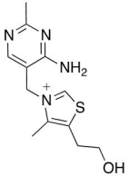 Which molecule does the following structure represent?  