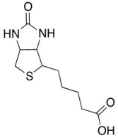 Which molecule does the following structure represent?  
