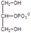 <strong>Give the product for the following reaction. </strong> A) B) C) D) E)