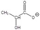 <strong>Give the product(s)for the following reaction. </strong> A) B)CH<sub>3</sub>CH<sub>2</sub>CH<sub>2</sub>OH C)CH<sub>3</sub>CH<sub>2</sub>OH D) E)