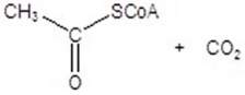 <strong>Give the product(s)for the following reaction. </strong> A) B)CH<sub>3</sub>CH<sub>2</sub>CH<sub>2</sub>OH C)CH<sub>3</sub>CH<sub>2</sub>OH D) E)