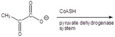 Give the product(s)for the following reaction.