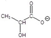 <strong>Give the product(s)for the following reaction. </strong> A) B)CH<sub>3</sub>CH<sub>2</sub>CH<sub>2</sub>OH C)CH<sub>3</sub>CH<sub>2</sub>OH D) E)