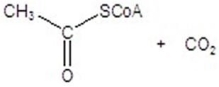 <strong>Give the product(s)for the following reaction. </strong> A) B)CH<sub>3</sub>CH<sub>2</sub>CH<sub>2</sub>OH C)CH<sub>3</sub>CH<sub>2</sub>OH D) E)