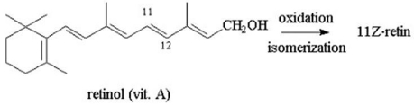 In the rod cells of the eye,retinol (vitamin A)can be oxidized and then isomerized into an aldehyde and a cis double bond at C-11 to form a molecule called 11Z-retinal.Propose a structure for 11Z-retinal.