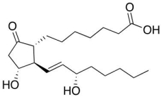 <strong>The following molecule represents a </strong> A)phosphoglyceride B)terpene C)squalene D)prostaglandin E)steroid