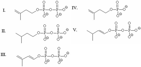 The five-carbon compound used for the biosynthesis of terpenes is called isopentenyl pyrophosphate.Which of the following is the structure of isopentenyl pyrophosphate?