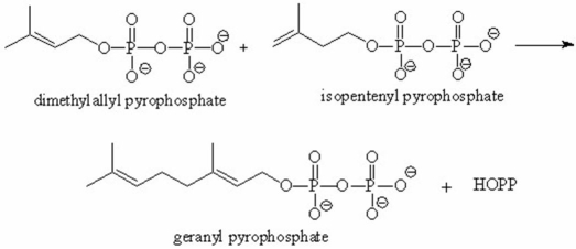 Propose a mechanism for the reaction,of dimethylallyl pyrophosphate with isopentenyl pyrophosphate to form geranyl pyrophosphate.