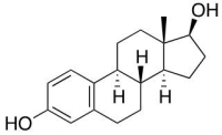 <strong>The following molecule represents a </strong> A)phosphoglyceride. B)terpene. C)squalene. D)prostaglandin. E)steroid.