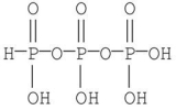 <strong>When phosphoric acid is heated it loses water to form an anhydride known as pyrophosphate or pyrophosphoric acid.What is the structure of pyrophosphoric acid?</strong> A) B) C) D) E)