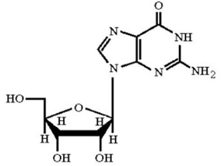 <strong>Identify the nucleoside shown below. </strong> A)adenosine B)guanosine C)cytidine D)uridine E)thymidine