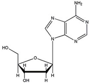 Identify the nucleoside shown below.